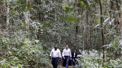 France's Macron announces initiative to preserve primary forests of Papua New Guinea