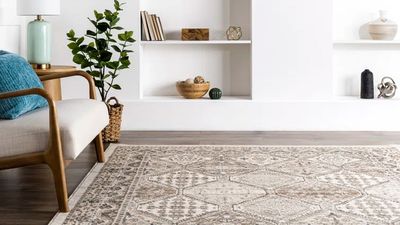 How often should you deep clean an area rug? Expert tips for different rugs and rooms