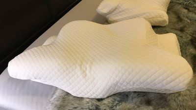 Zamat Butterfly Shaped Cervical Memory Foam Pillow review: weird but supportive