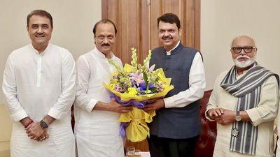 Smaller parties key to success of BJP’s ‘Mission 45’ in Maharashtra