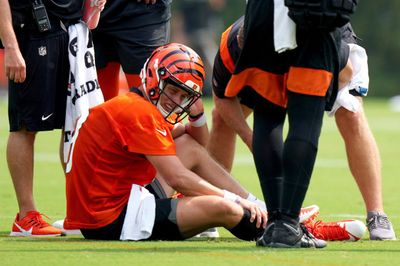 Joe Burrow Replacements: Trade Options, Free Agents and Wild Cards the Bengals Could Pursue