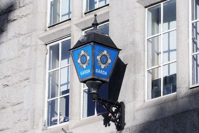 Sons of assaulted US tourist thank people of Ireland for their support
