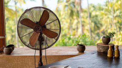 5 heatwave myths debunked by experts – and how you should really be staying cool at home