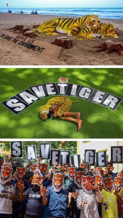 World Tiger Day: India now home to 75% of global population