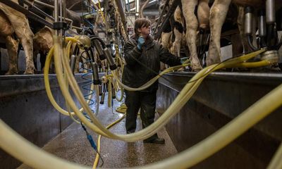 Dairy farmers quit in fury amid UK price squeeze and rising costs