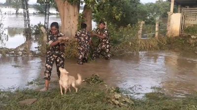 Dog stranded in flood-hit village in Andhra Pradesh seeks police help to rescue pups