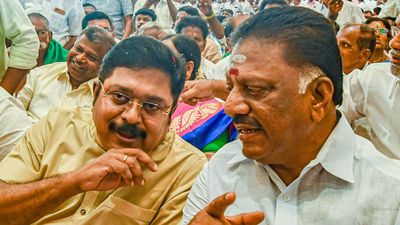 AMMK, MNM can be the game changers in at least six Lok Sabha seats