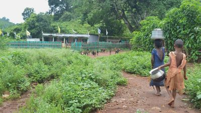 In this A.P. tribal village, guess who’s absent from school