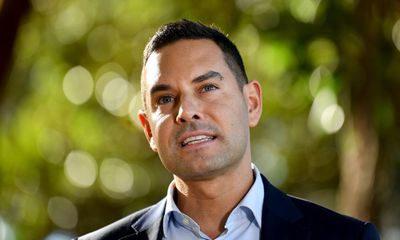 NSW MP Alex Greenwich warns voice supporters against complacency in call to ‘actively participate’