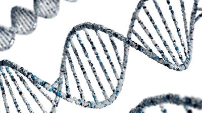 Cell-free DNA promises to transform how we find diseases