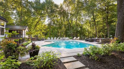 The experts reveal the worst trees to plant near a pool – and explain why