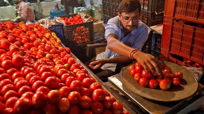 ‘560 tonnes of tomatoes sold at subsidised rate in Delhi, U.P., Rajasthan in last 15 days’
