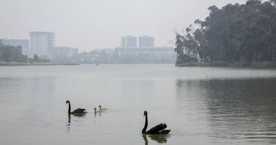 Lake Ginninderra water level to be lowered in preparation for maintenance