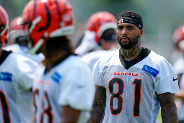 Bengals punter Chrisman back at camp after spending 3 days in hospital