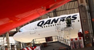 MPs loll in comfort as Qantas logs record profits and planes fly like wounded ’roos