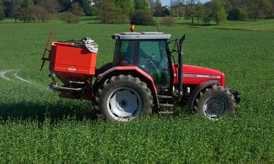 British crop yields rise despite cut in fertiliser use, research finds