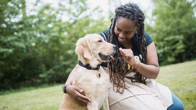 Canine expert reveals the secret to a successful training session with your dog, and it might just surprise you