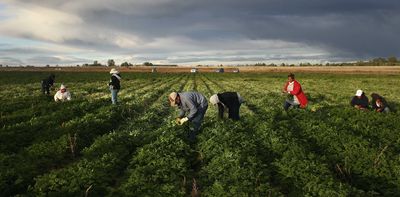 Sexual violence is a pervasive threat for female farm workers – here's how the US could reduce their risk