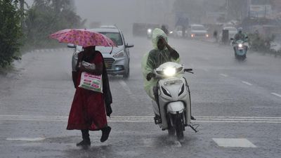 Andhra Pradesh receives normal rainfall in first half of monsoon