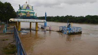 Crops in nearly 8,000 acres in Godavari Agency and delta bear the brunt of flood in Andhra Pradesh