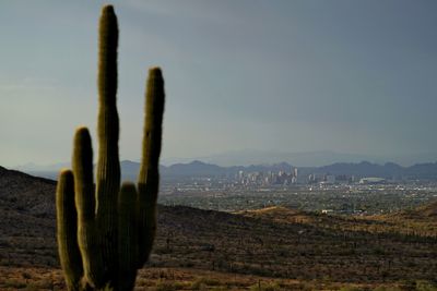 Rain to bring brief respite to Phoenix after record heatwave scalds US city