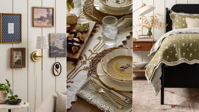 Joanna Gaines' has just convinced me I'm ready for fall with Magnolia Home's Fall 2024 collection – it's worth taking an early look