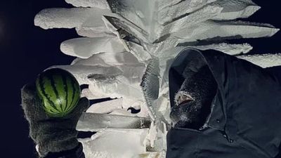 Russian scientists have grown watermelons in the coldest place on Earth