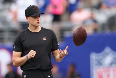 Former NFL WR texted Joe Burrow for injury update