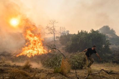 Greece's government is planning tougher penalties for arson following a spate of wildfires