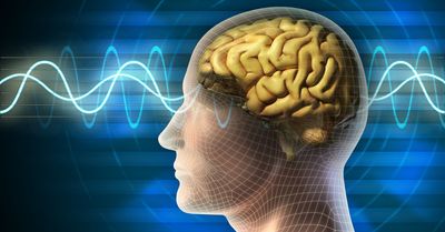 Researchers links brain waves directly to memory