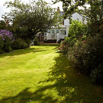 What time can I legally mow my lawn? Expert tips to help you stay friends with your neighbours
