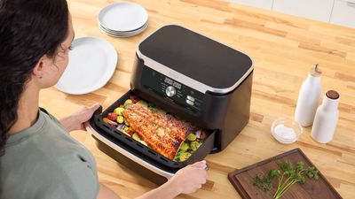 The Ninja Foodi FlexDrawer is the biggest air fryer I’ve ever seen!