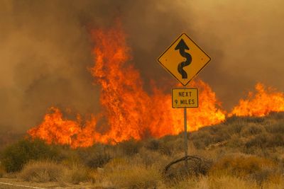 Firefighters contain a quarter of massive California-Nevada wildfire