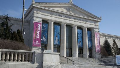 Shedd Aquarium details major renovations for Centennial Commitment project