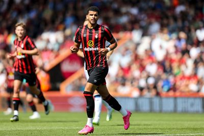 Bournemouth season preview 2023/24: Why the Cherries are looking up the table