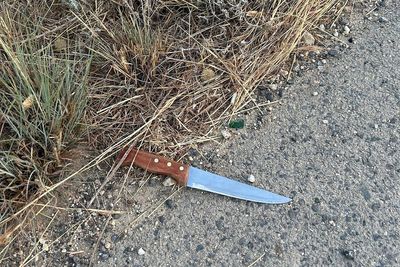 Israeli Forces Thwart Attempted Stabbings In Judea