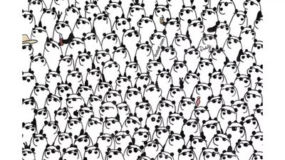 Only those with sharp observation skills can find the 3 pandas without sunglasses