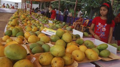 GI tags for Goan mangoes and bebinca, crafts from Rajasthan and U.P.