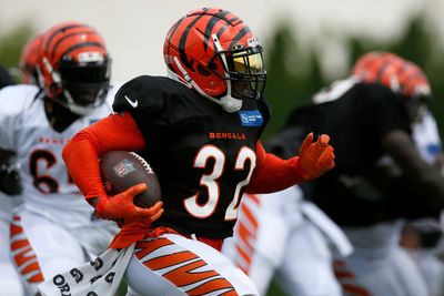 Bengals injury updates on Trayveon Williams, Devonnsha Maxwell