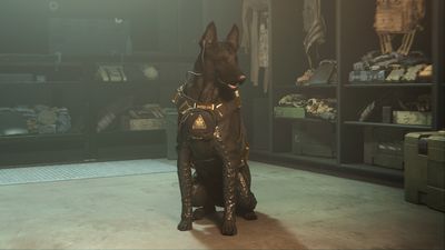 Warzone 2 and Modern Warfare 2 are adding dog companions and I guess I have to play Call of Duty now