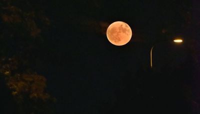 Catch a rising moon: First of two August supermoons rising tonight