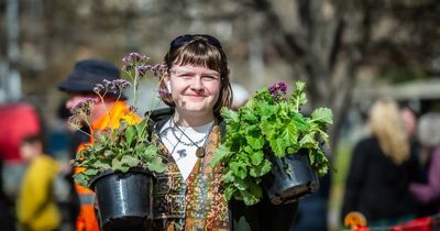 Canberra flower power takes over the city