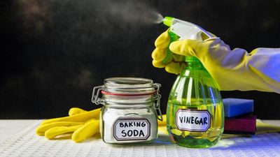 Vinegar vs baking soda — which is best at cleaning?