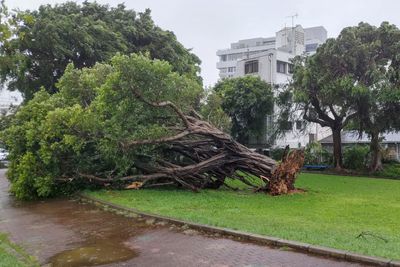 Typhoon Khanun knocks out power, grounds flights in Japan’s Okinawa