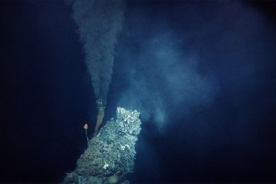 Deep sea creatures impacted by mining