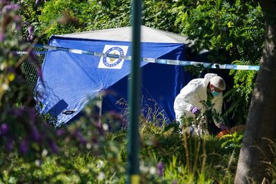 Man arrested on suspicion of murder after woman dies in woodland