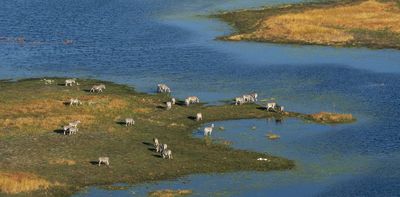 Oil drilling threatens the Okavango River Basin, putting water in Namibia and Botswana at risk