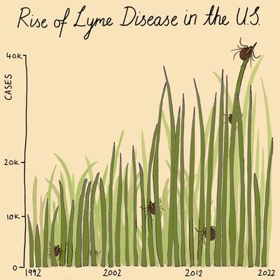 Tick tick boom: how much is Lyme disease increasing in the US?