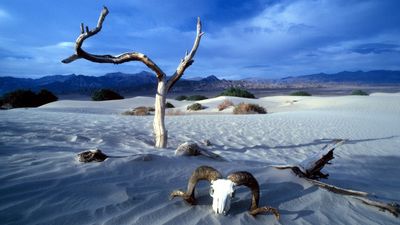 Car stuck in Death Valley salt flat for three weeks after driver follows GPS off-road