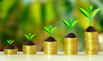 The 5 Best Long-Term Investment Stocks to Buy for Steady Returns